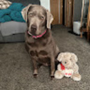 Meet your Posher, Derek